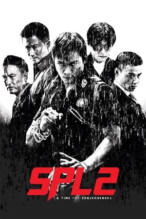 Kill Zone 2 (2015) Hindi Dual Audio [1.5GB] ESubs