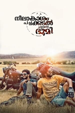 Neelakasham Pachakadal Chuvanna Bhoomi (2013) Hindi Dubbed [1.4GB]