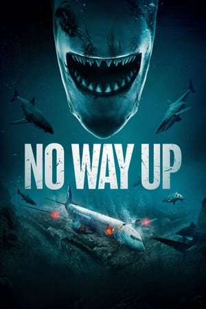 No Way Up (2024) Hindi Dual Audio – –