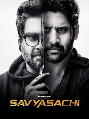 Savyasachi (2018) Hindi Dual Audio 450MB