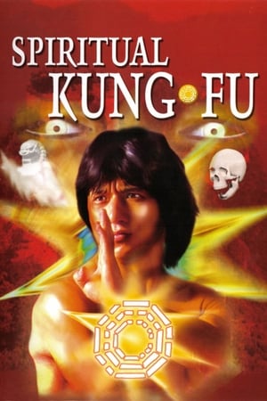 Spiritual Kung Fu 1978 Dual Audio Hindi 320MB