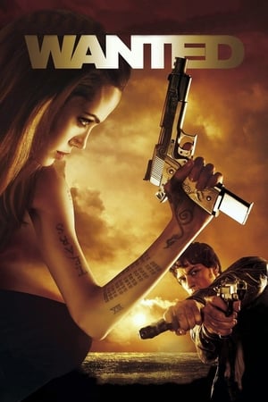 Wanted (2008) Hindi Dual Audio [1GB]